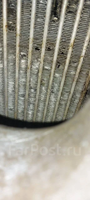 �����������. ����