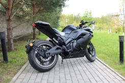 Ducati Superbike 1199 Panigale. �������� ����