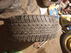 Pirelli Winter 210 Performance. ������, ��� �����, �/�, ����� 5 % ����