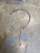 ����� ��� ����