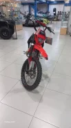 Regulmoto Seven Medalist Pro. 49����. ��., ��������, ��� ��� ����