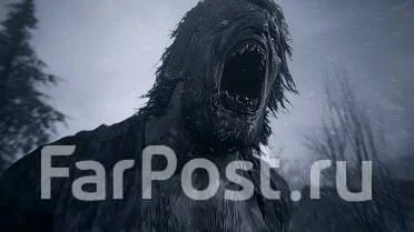 ����. ����