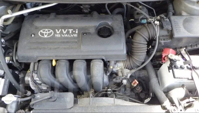 Toyota Corolla Spacio. ZZE124, 1ZZFE ����