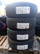 Vittos VSH10. ������, 2024 ���, �����. �������� ������� ����