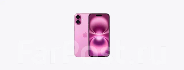 Apple iPhone 16 Plus. �����, 256 ��, �������, 3G, 4G LTE, 5G, Dual-SIM, NFC. ��� ����� �� ���������� ����