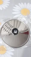 �����. ����