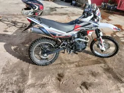 Racer Panther RC250GY-C2. 250����. ��., ��������, ���������, ������ �� �� ����
