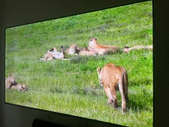 Xiaomi Mi TV 5 Pro. Quantum Dot (QLED, NanoCell) ����