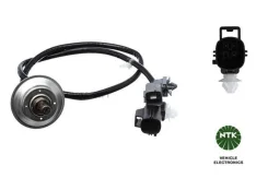 ������ ������. /������-���� LZA19-MD1 96065 ����