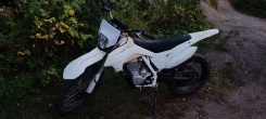 Avantis FX 250 Lux. 250����. ��., ��������, ���, � �������� ����