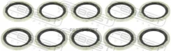 ������ �������������� ������ ������������ (10 ��. � ��������) RINGAH018PCS10 ����