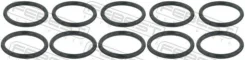 ������ �������������� �������������� ��������� (10 ��. � ��������) RINGOL016PCS10 ����