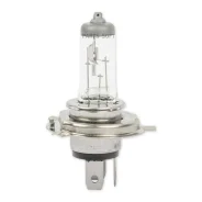 ���������� ����� H4 12v 60/55w (P43t).1 ��. GANZ GIP06009 GIP06009 ����