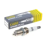 ����� ��������� (94460) platinum GANZ GIP22068 GIP22068 ����