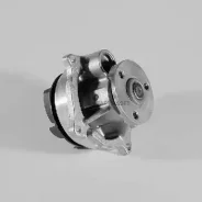 ������� ����� P236 ����