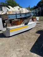 Wellboat-45. 2020 ���, ����� 4,5��., ��������� ���������, 30��.�., ������ ����