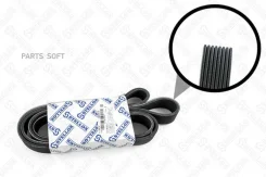������ ������������ 8PK2080 Omn MB, Scania Steyr 0802080SX ����