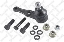 ����� ������� 5202601ASX ����