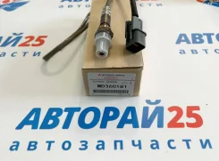 ������ ����������� Mitsubishi 6G74 MD360181 MD360181 ����