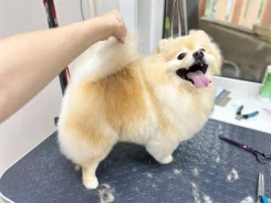 �������. ����
