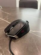 ���� �������. ����