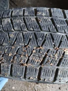 Bridgestone Blizzak DM-V1. ������, ��� �����, �/�, ����� 10 % ����