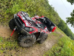 Kawasaki Brute Force 750. ��������, ��, �� ����