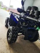 Avantis Hunter 200. ��������, ���� ���\���, � �������� ����