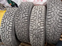 ZMax Winternova Stud I. ������, ����������, 2023 ���, �/�, ����� �� 5 %. �������� ������� ����