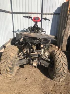 Arctic Cat. ����������, ��� ���\���, � �������� ����