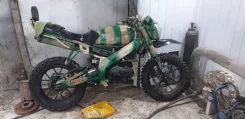 Irbis. 250����. ��., ��������, ��� ���, � �������� ����