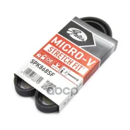 ������ ������������ XF Gates 5PK868SF 5PK868SF ����
