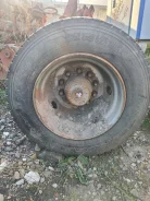 Triangle TR689. �����������, 2016 ���, �/�, ����� 30 % ����