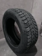 Evergreen. ������, ����������, 2022 ���, �/�, ����� �� 5 % ����