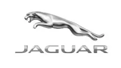 ������ ������� Jaguar XR820128 XR820128 ����