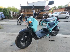 Honda Zoomer. 49����. ��., ��������, ��� ���, ��� ������� ����