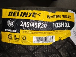Delinte Winter WD42. ������, ����������, 2024 ���, ����� ����