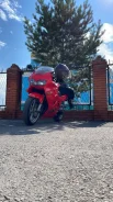 Honda VFR 800. 800����. ��. ����