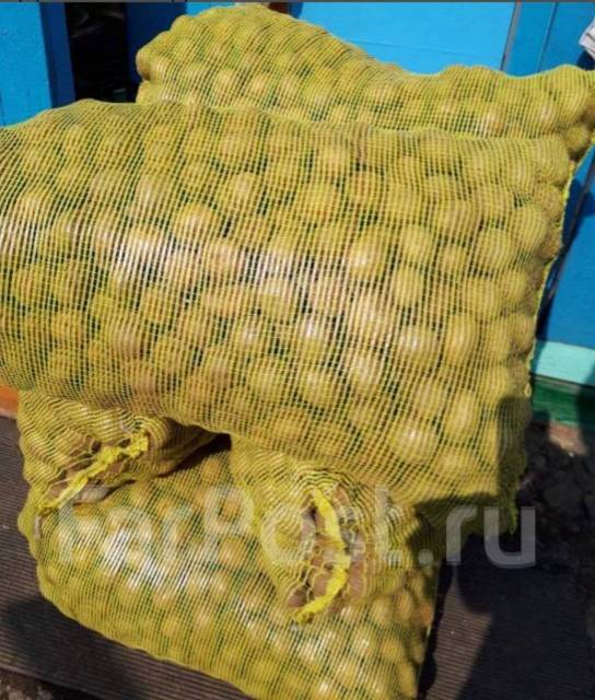 Семенной картофель сорт Адретта, под заказ. Цена: 50₽ в Уссурийске