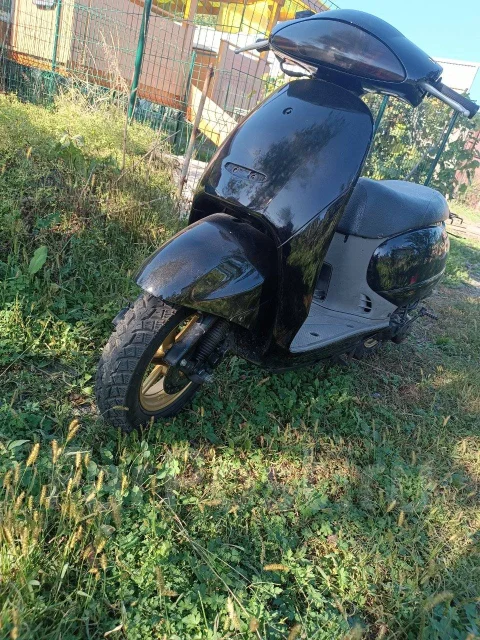Honda Tact AF-51. 100����. ��., ��������, ��� ���, ��� ������� ����