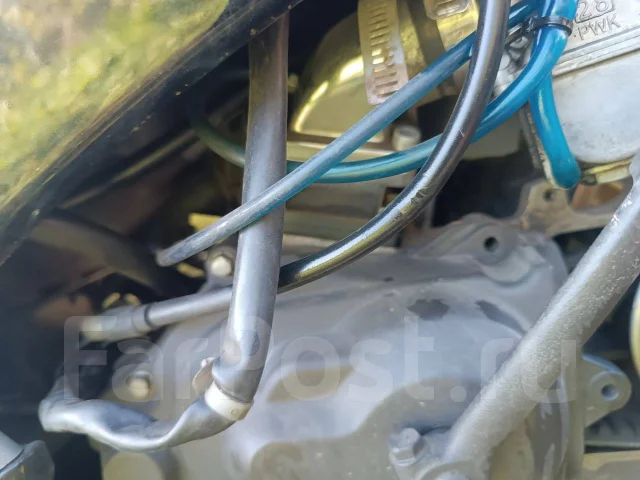 Honda Tact AF-51. 100����. ��., ��������, ��� ���, ��� ������� ����