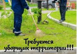 �������. �� "����� �.�.". �������� ��������� 34 ����