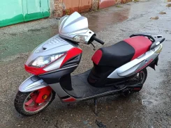 Irbis Nirvana. 150����. ��., ��������, ���, � �������� ����