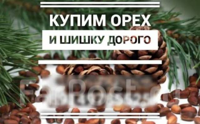 ������������. ��� BBK. ����� ���������� 3 ����