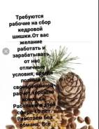 .  BBK.   3 