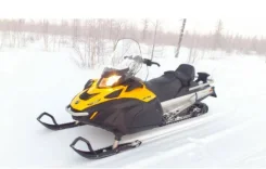 BRP Ski-Doo Skandic WT. ��������, ���� ���, � �������� ����