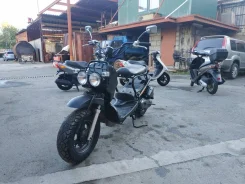 Honda Zoomer. 49����. ��., ��������, ��� ���, ��� ������� ����