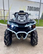 Stels ATV 800 Guepard Trophy EPS. ��������, ���� ���\���, � �������� ����