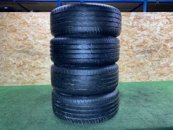 Viking ProTech NewGen. ������, 2019 ���, �/�, ����� 30 %. �������� ������� ����