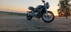 Suzuki GSF 250 Bandit. 248����. ��., ��������, ���������, ������ �� �� ����